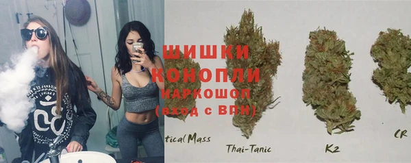 прущие грибы Беломорск