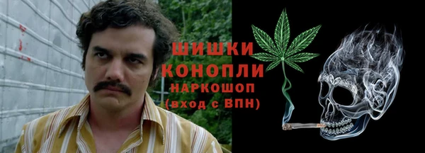 хмурый Белокуриха