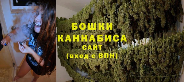 прущие грибы Беломорск