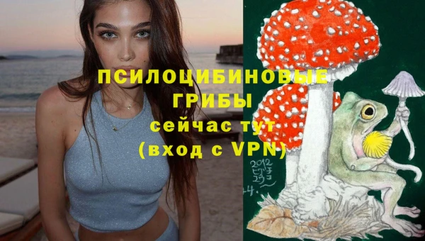 PSILOCYBIN Белоозёрский