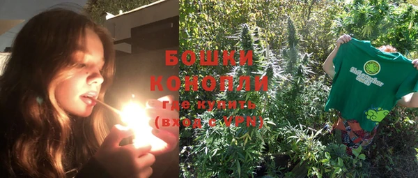 PSILOCYBIN Белоозёрский