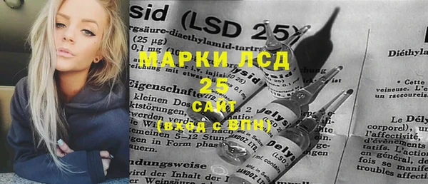 хмурый Белокуриха