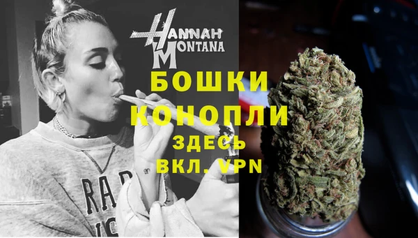 хмурый Белокуриха