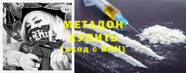 прущие грибы Беломорск