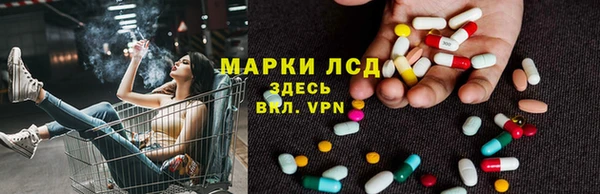 прущие грибы Беломорск