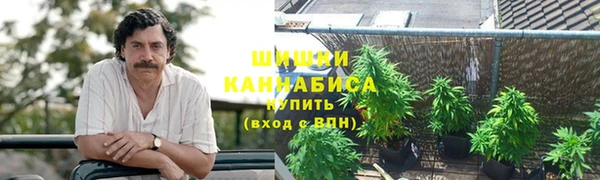 PSILOCYBIN Белоозёрский