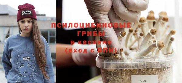 хмурый Белокуриха